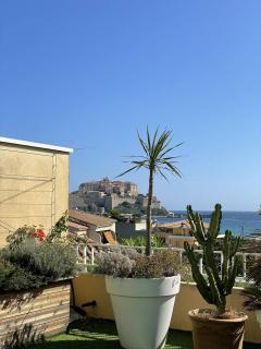 Magnifique appartement à 2 pas de la plage... - Calvi - 8
