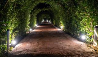 Fox Resort El Gouna Stay - Hurghada - 7