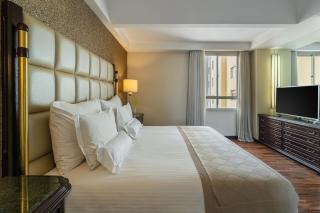 Bourbon Hotel & Suites Curitiba - Curitiba - 8