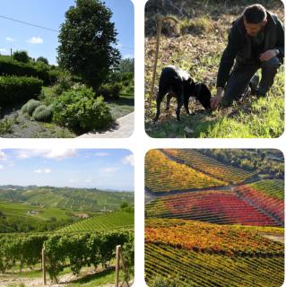 Cascina Albarella - Canelli - 5