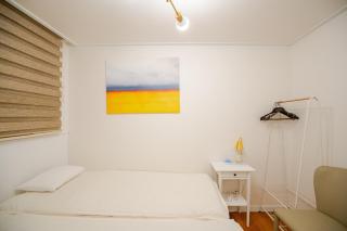 Sunny Gangnam House - Seul - 3