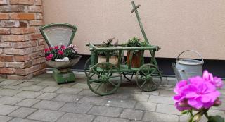 Ferienwohnungen _ Haus Lisa_ - Senftenberg - 6