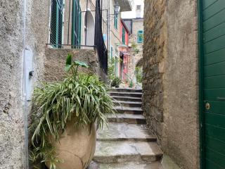 Casa caterina - Corniglia - 1