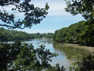 Maison Renovée Plomelin - - 5