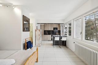 Ample and luminous Studio by Miggins - Crans-Montana - 8