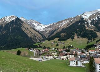 Bienenblick - Reutte - 0