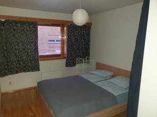 Leilighet(75m²)+hage(40m²) 20 min fra sentrum - Grorud - 9