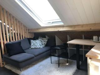 Studio au cœur du sancy - Chambon-sur-Lac - 0