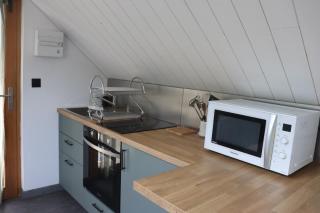 Studio au cœur du sancy - Chambon-sur-Lac - 1