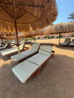 جولدن طيبه الذهبيه الغردقه - Hurghada - 7