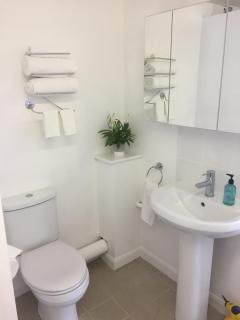 Basingstoke En Suite Room in Garden Annex - Basingstoke - 8