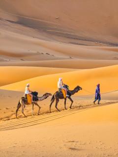 Galaxy Sahara Camp - 2