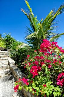 Well maintained and makes you feel right at home - Saint Martin - 6