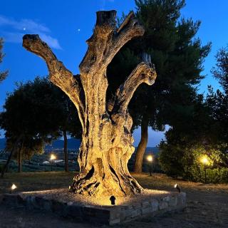 Casale Stella Nova - Grosseto - 3