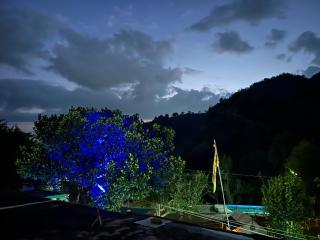 Rummy Dummy homestay & farms - Shivpuri - 5