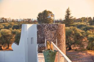 Villa Ceci Dimora di Storie - Andria - 1