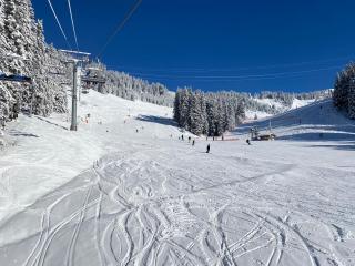 Apt Sakura - Le Grand Tetras - Samoëns - 5