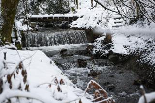 Tiny House Pioneer 5 - Green Tiny Village Harz - 4