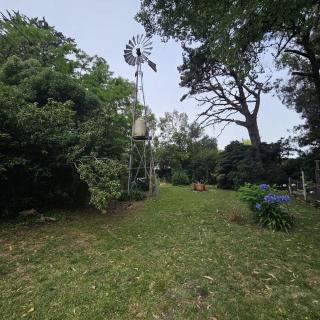 La Casa de Sibel - - 2