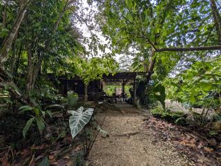 La Gamba Rainforest Lodge - Golfito - 2