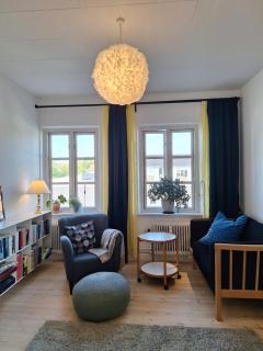 Hyggeligt værelse i downtown Roskilde - Roskilde - 7
