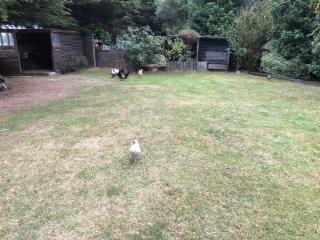 Country View place - 1