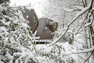 Sleep Space 23 - Green Tiny Village Harz - 8