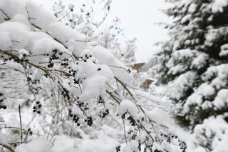 Sleep Space 23 - Green Tiny Village Harz - 3