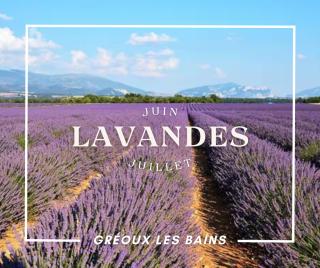 Oasis tranquille - L'évasion au Verdon - Gréoux-les-Bains - 9