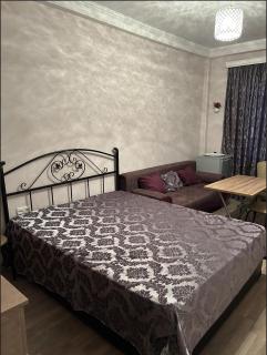 Hotel Meskheti Bakuriani - Bakoerjani - 3