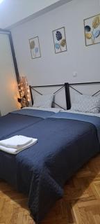 Athens central lux apartment - Atene - 2