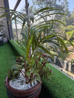 Nandwa Ivy Residence - Nairobi - 1