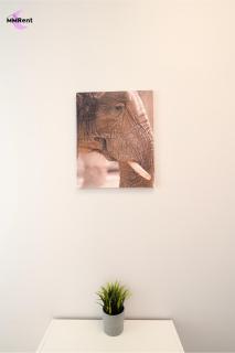 MMRent Elephant Room - 2