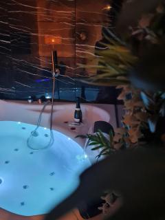 Escapade Mâconnaise Spa-Sauna-Ciel de pluie tropicale-Champagne Nuit Romantique - Mâcon - 6