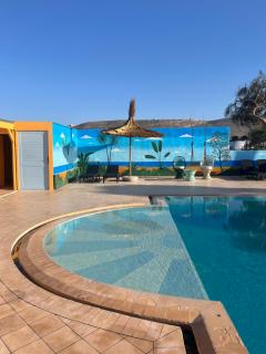 The Mogador's Oasis - Akermoud - 7