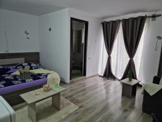 Pensiunea Glasul Pădurii - Braşov - 8