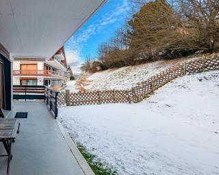 Cosy Centered with Garden and View in Veysonnaz - 1