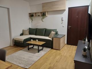 Forest River Sokobanja - 8