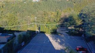 Forest River Sokobanja - 1