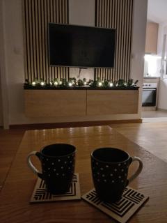 Forest River Sokobanja - 5