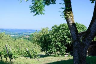 Gîte de France Belleviste 3 épis - Gîte de France 10 personnes MAE-1521 - Queyssac-les-Vignes - 5