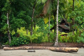 Nuquí Mágico en La Chocoana - Reserva Natural - 9