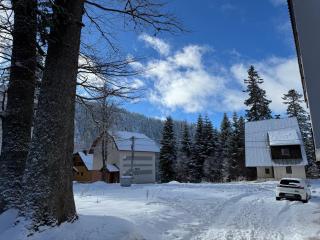 Srebrena Vila 10 - Jahorina - Jahorina - 8
