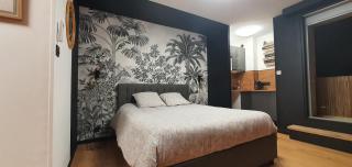 Studio climatisé Place de Jaude Garage balcon tv wifi - Clermont-Ferrand - 9