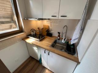 Schwarzwald Apartment mit Sauna 2 Zimmer frisch renoviert - Todtmoos - 4