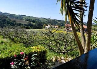 Serenity Views, Silver Coast, PT - Bombarral - 9