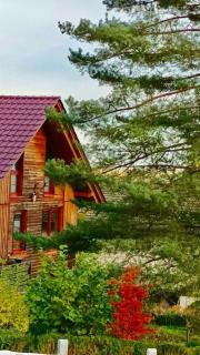 Forsthaus am Wald mit Whirlpool und Sauna - - 5