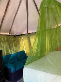 Tree House Tulum - Tulum - 1