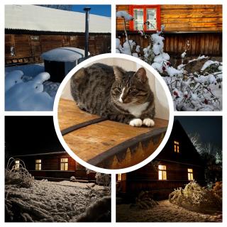 Lauku Mickas Country House - 4