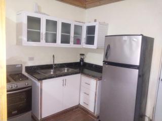 Vista Montaña Jimenoa De La Rosa - 1